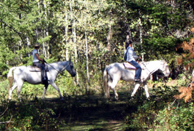 Riders
